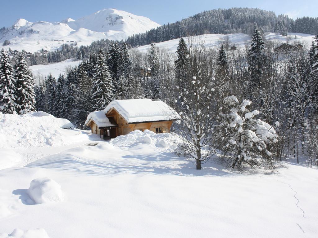 Villa Luxurious Chalet In Le Chinaillon With Sauna Le Grand-Bornand Exterior foto